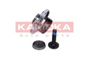 Rodamiento de rueda trasera KAMOKA 5500128