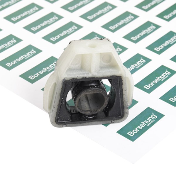 Soporte del radiador Borsehung B11361