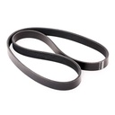 Correa trapecial poli V FEBI BILSTEIN 28920