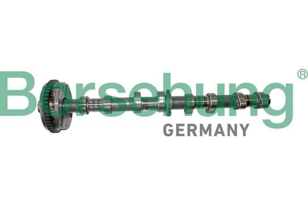 Árbol de levas admisión Borsehung B12413