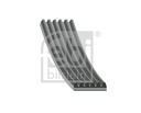 Correa trapecial poli V FEBI BILSTEIN 28915