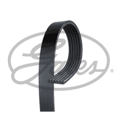 Correa trapecial poli V GATES 6PK1010