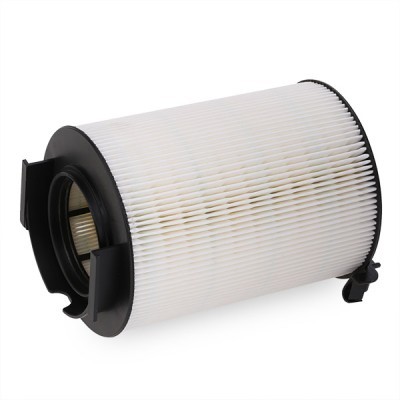 Filtro de aire del motor Ridex 8A0027