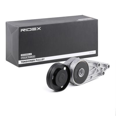 Polea tensora de la correa trapecial poli V Ridex 540T0020