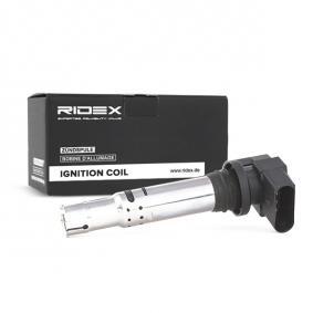 Bobina de encendido Ridex 689C0003