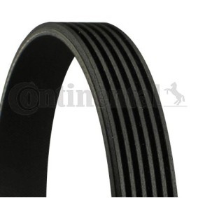 Correa trapecial poli V CONTINENTAL CTAM 6PK1115
