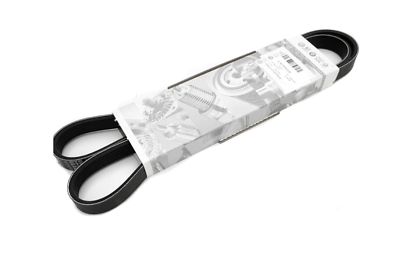 Correa trapecial poli V 03E260849A