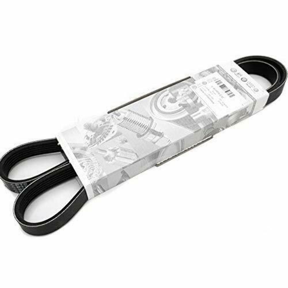 Correa trapecial poli V 03L903137H