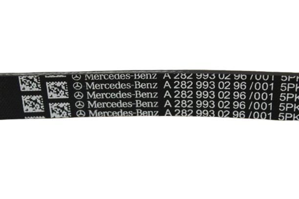 Correa trapecial poli V A2829930296