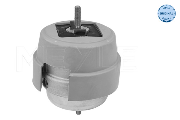 Soporte derecho del motor MEYLE 100 199 0192