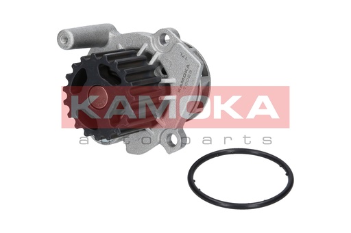 [T0023] Bomba de agua KAMOKA T0023
