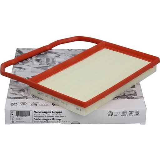 Filtro de aire del motor 04C129620C