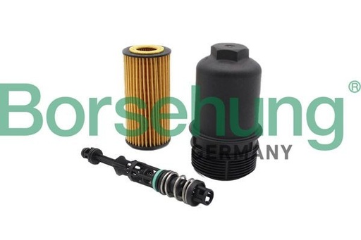 [B10435, 06L115562B, 06L115401Q, 06L115401L] Filtro de aceite Borsehung B10435