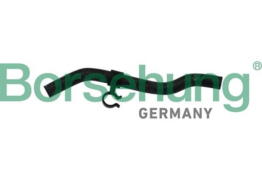 [B11975] Tubería de radiador Borsehung B11975