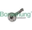[B11319] Árbol de levas Borsehung B11319