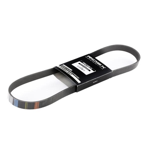 [305P0054] Correa de los accesorios Ridex 305P0054