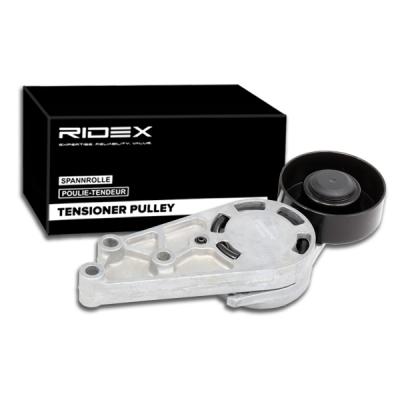 [541V0006] Polea tensora de la correa trapecial poli V Ridex 541V0006