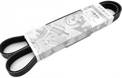 Correa trapecial poli V 06F260849E