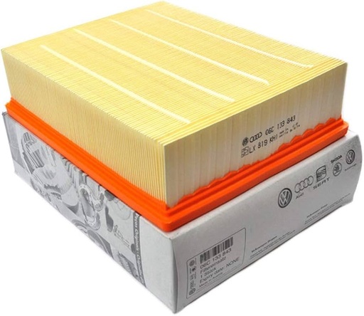 Filtro de aire del motor 06C133843