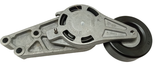 Polea tensora de la correa trapecial poli V 06B903133E