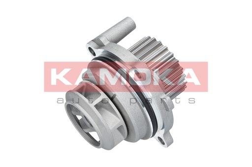 Bomba de agua KAMOKA T0029